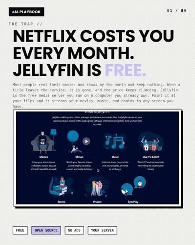 Netflix versus Jellyfin